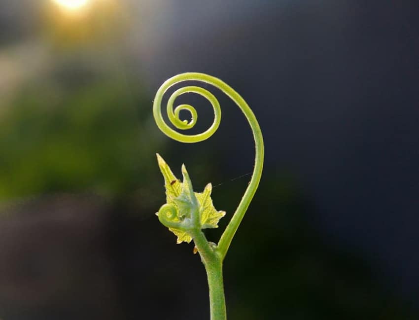 10x Macro lens, Photography 10x Macro lens, Photography