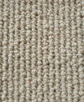 Stapleford Plus Carpet - Green Label