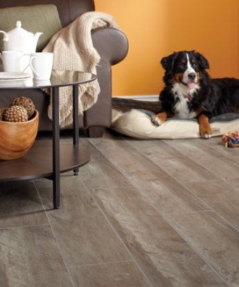 Salisbury Laminate Flooring