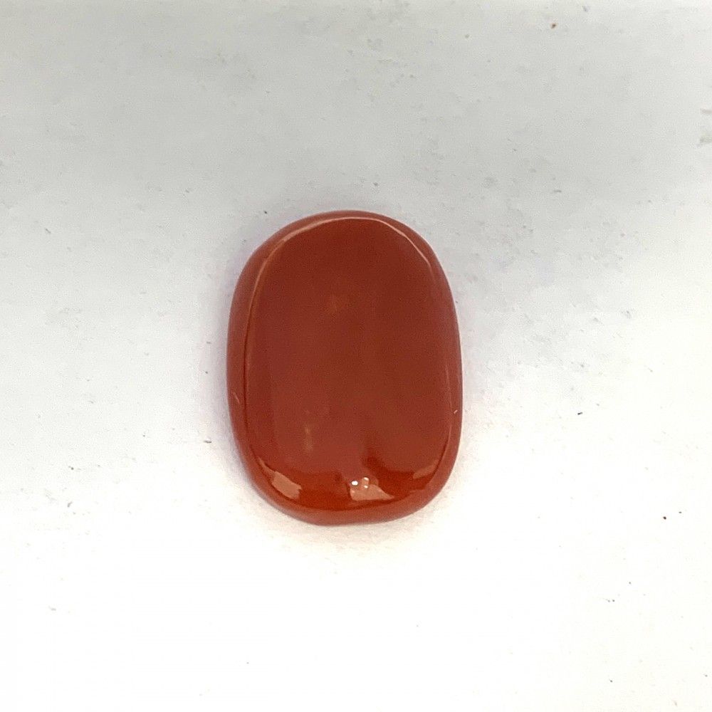 CL25.jpeg Red Coral 11.49 Carat (12.77 Ratti) - Image 1