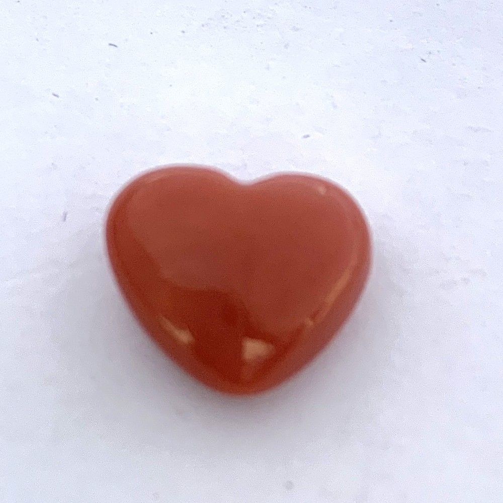 CL38.jpeg Red Coral 7.06 Carat (7.84 Ratti) - Image 1