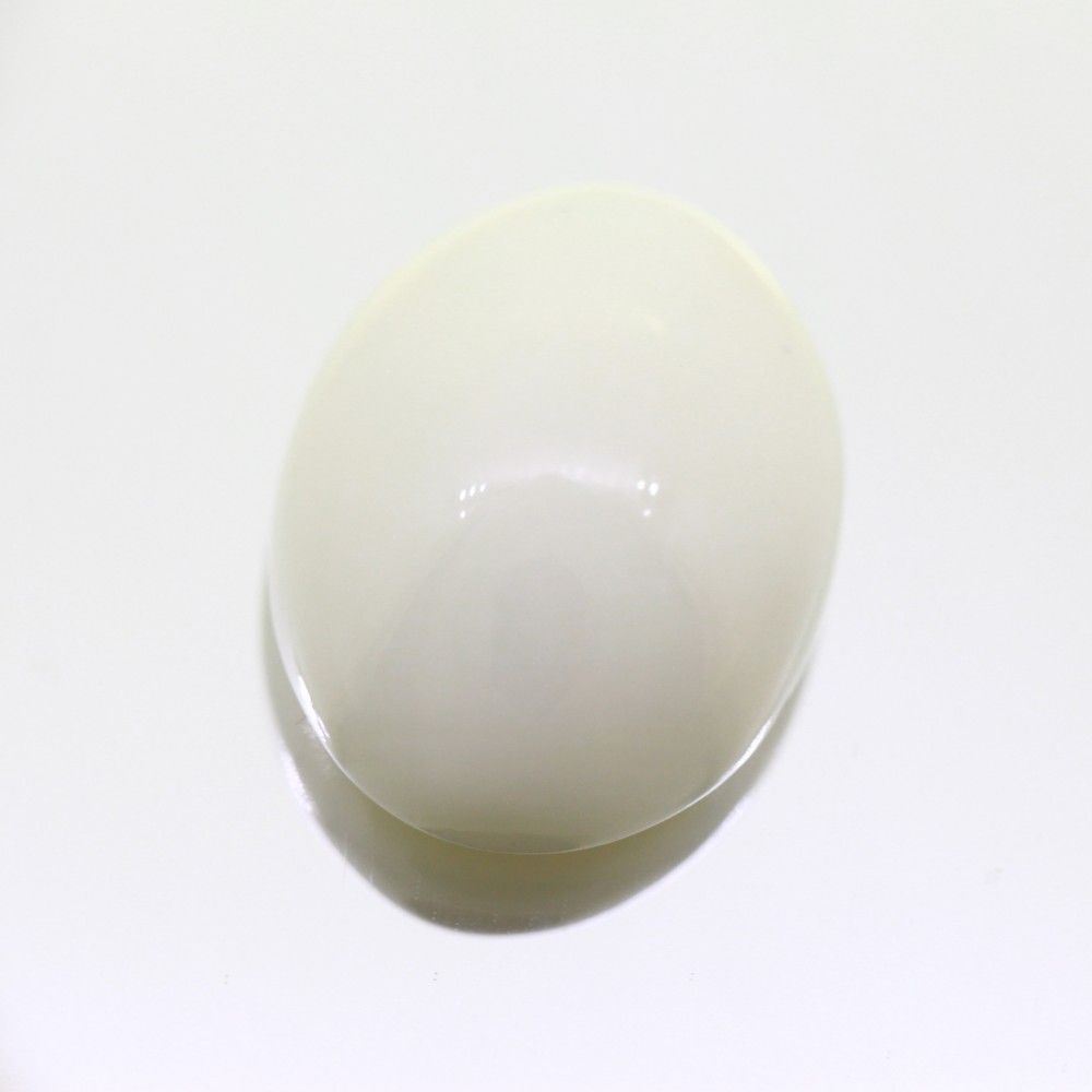 COW1.jpeg Natural White Coral 12.86 Carat (14.29 Ratti) - Image 1
