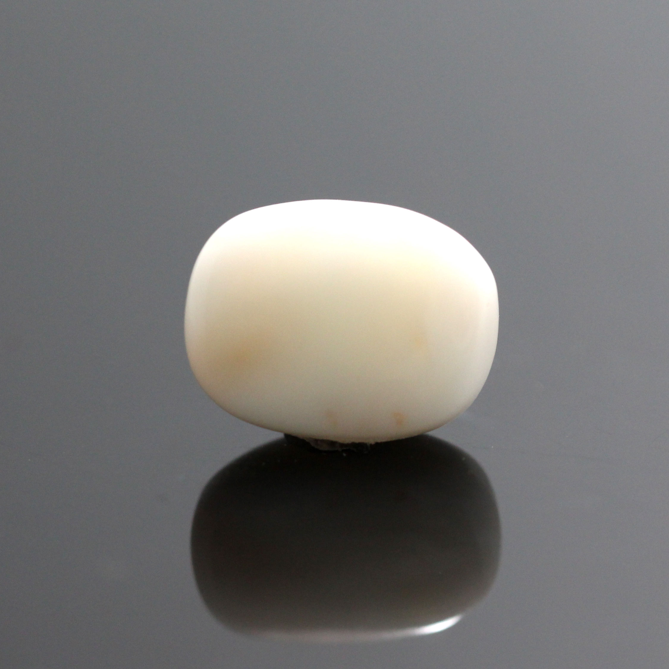 cow9-1.jpg Natural White Coral 7.05 Carat (7.75 Ratti) - Image 1