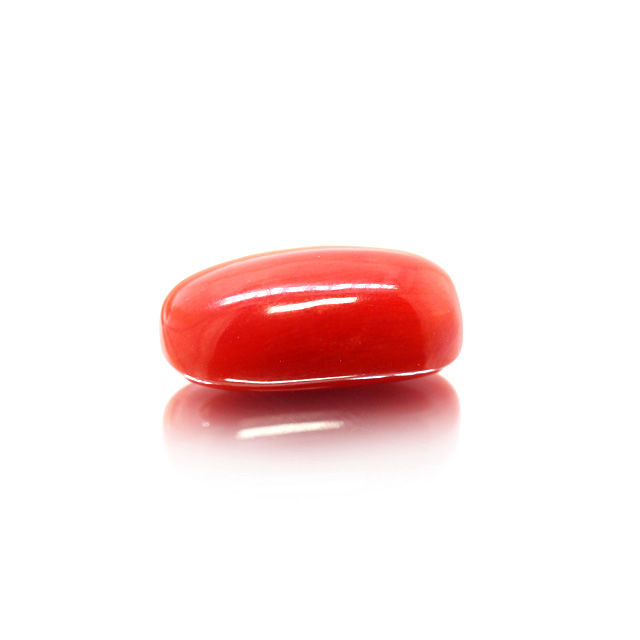 CL128 (1) Red Coral (Moonga) 6.45 Carat (7.10 Ratti) - Image 1