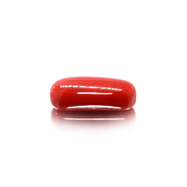CL137 (1) Red Coral (Moonga) 5.70 Carat (6.27 Ratti) - Image 1