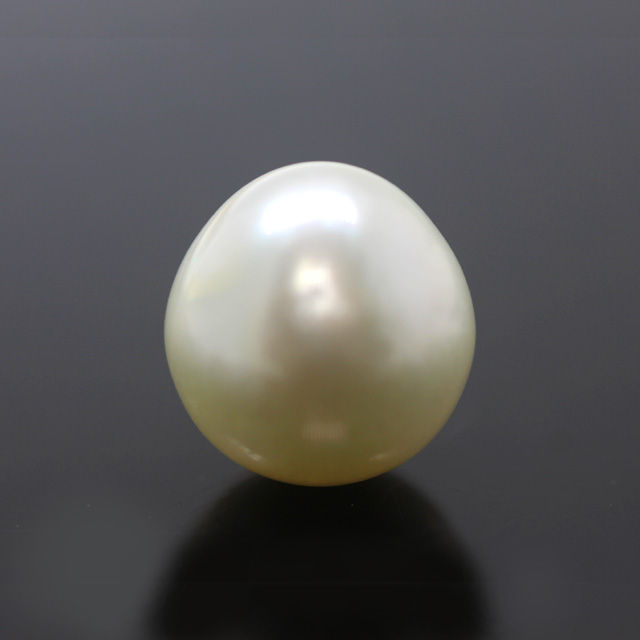 PRL122 (1) South Sea Pearl (Moti) 12.39 Carat (13.63 Ratti) - Image 1