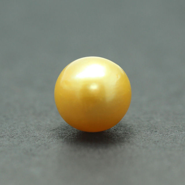 PRL145 (1) South Sea Golden Pearl (Moti) 7.46 Carat (8.21 Ratti) - Image 1