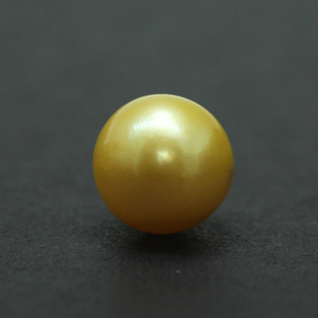 PRL146 (1) South Sea Golden Pearl (Moti) 10.73 Carat (11.80 Ratti) - Image 1