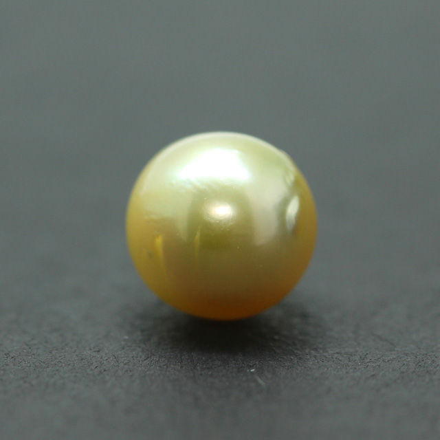 PRL157 (1) South Sea Golden Pearl (Moti) 7.83 Carat (8.61 Ratti) - Image 1