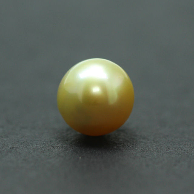 PRL162 (1) South Sea Golden Pearl (Moti) 9.44 Carat (10.38 Ratti) - Image 1