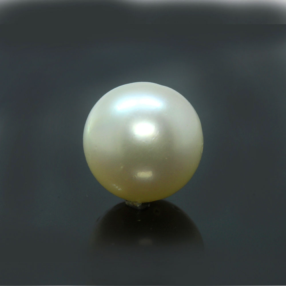PRL167 (1) South Sea Pearl (Moti) 10.17 Carat (11.19 Ratti) - Image 1