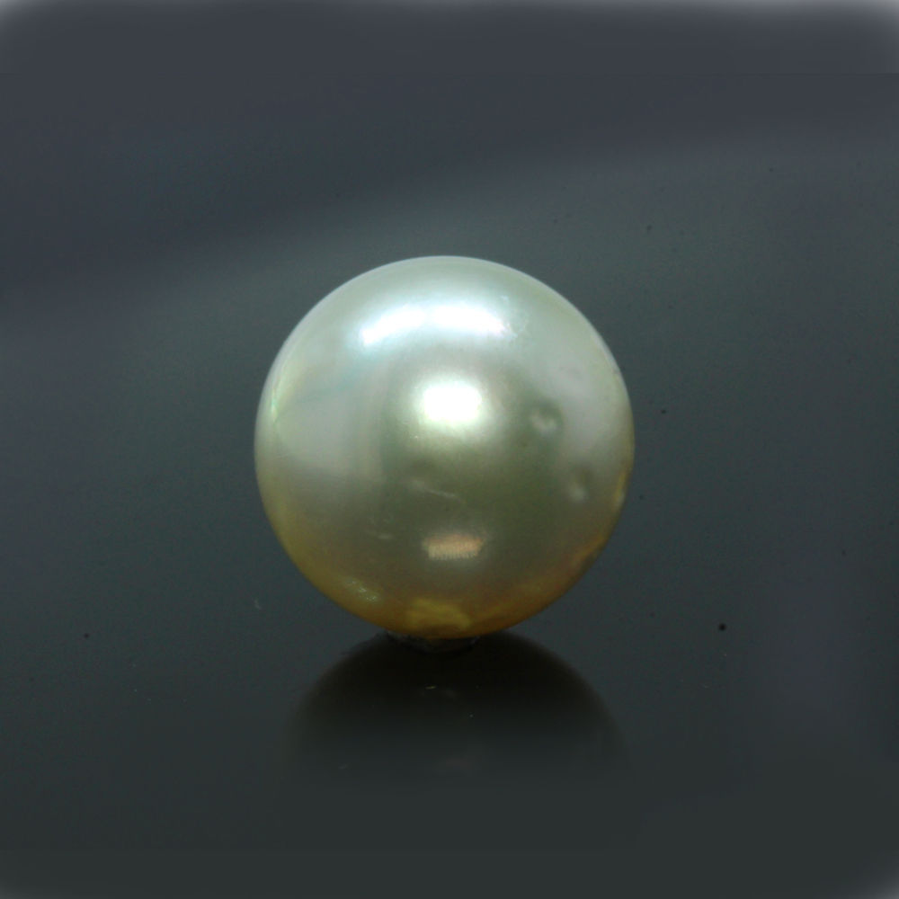 PRL168 (1) South Sea Pearl (Moti) 8.29 Carat (9.12 Ratti) - Image 1