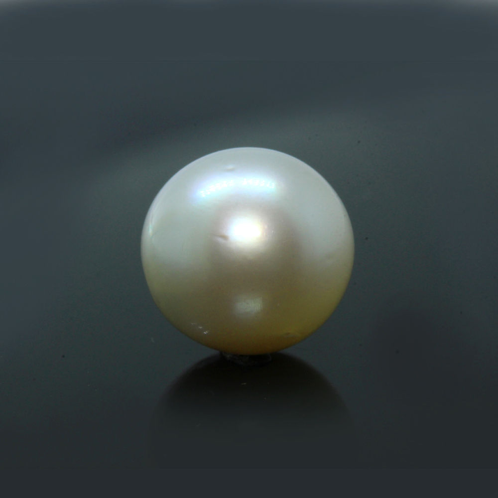 PRL169 (1) South Sea Pearl (Moti) 9.79 Carat (10.77 Ratti) - Image 1