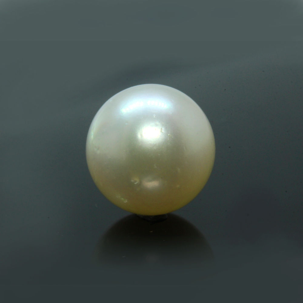 PRL170 (1) South Sea Pearl (Moti) 10.77 Carat (11.85 Ratti) - Image 1