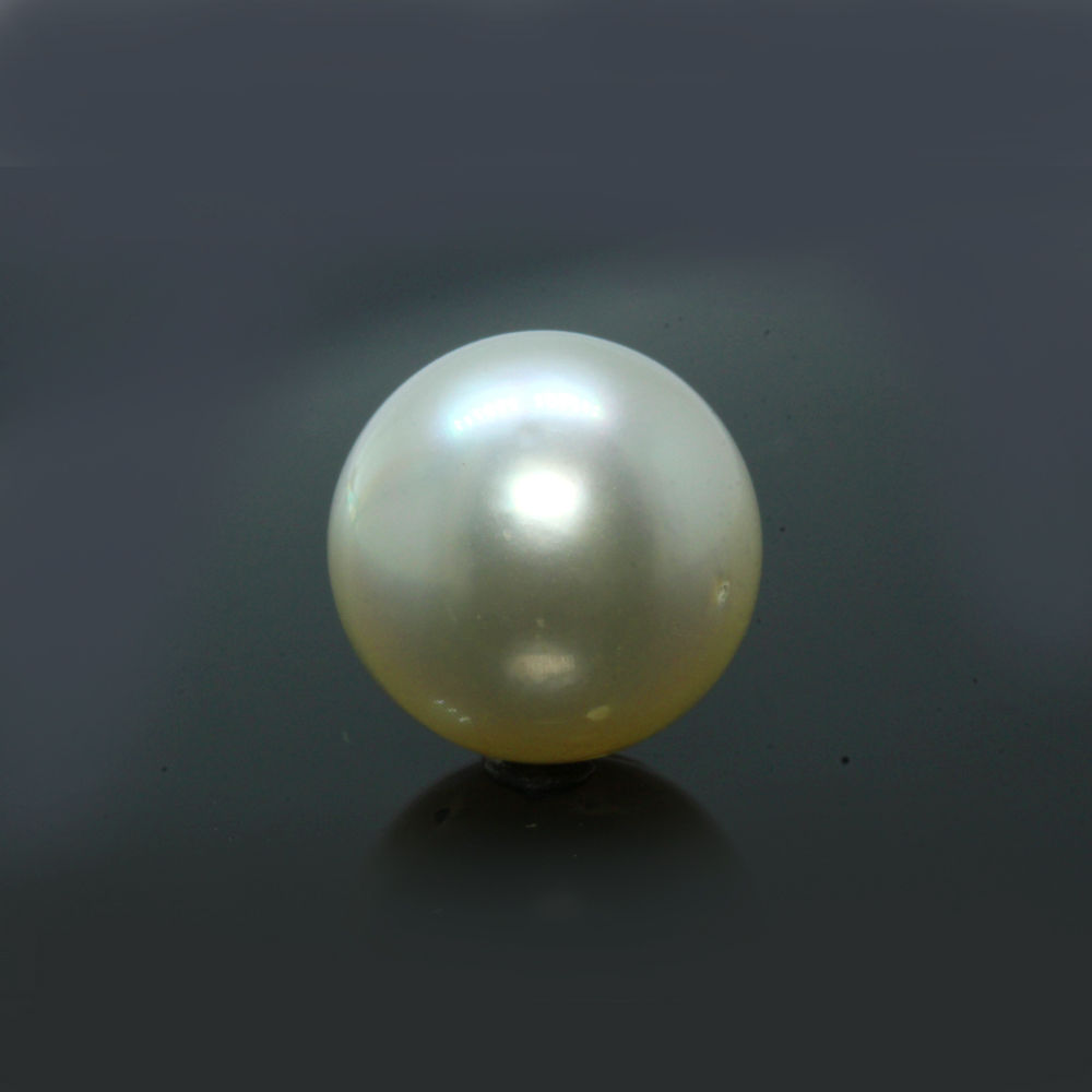 PRL172 (1) South Sea Pearl (Moti) 10.27 Carat (11.30 Ratti) - Image 1