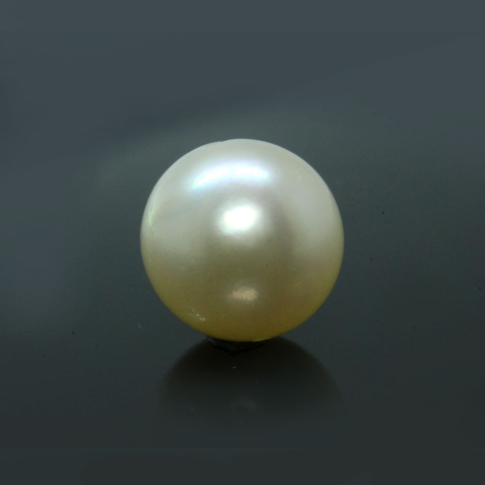 PRL175 (1) South Sea Pearl (Moti) 9.08 Carat (9.99 Ratti) - Image 1