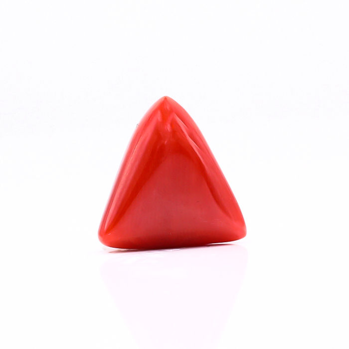 CL221 (1) CL221
