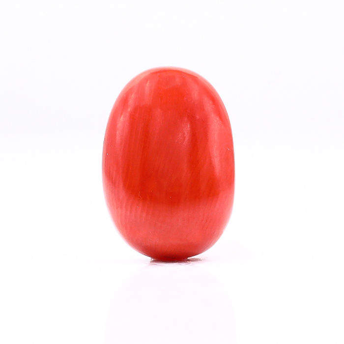 CL233 (1) CL233