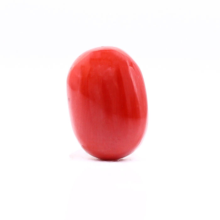 CL234 (1) CL234