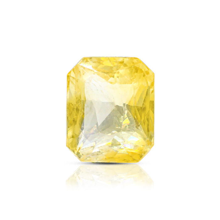 YS585 (1) YS585