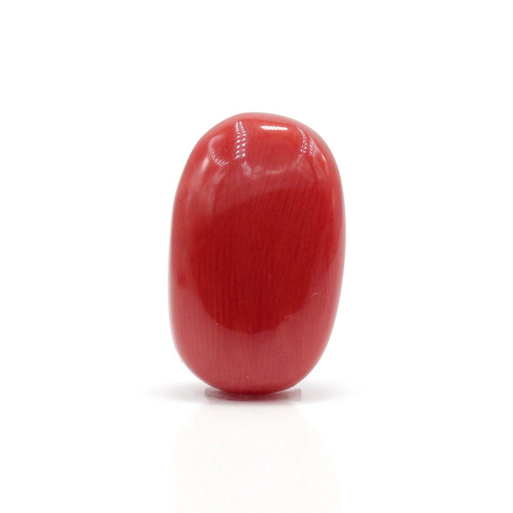 GACL286 (1) Red Coral 9.08 Carat (Moonga 10 Ratti) - Image 1