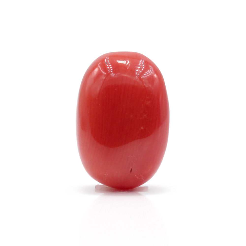 GACL295 (1) Red Coral 7.49 Carat (Moonga 8.24 Ratti) - Image 1