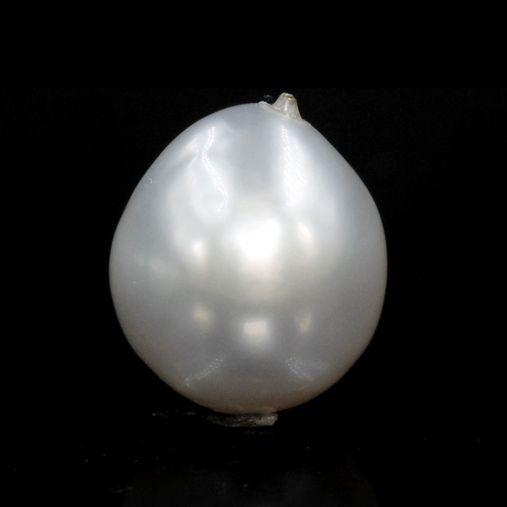 PRL252 (1) Natural Keshi Pearl (Moti) 8.97 Carat (9.87 Ratti) - Image 1