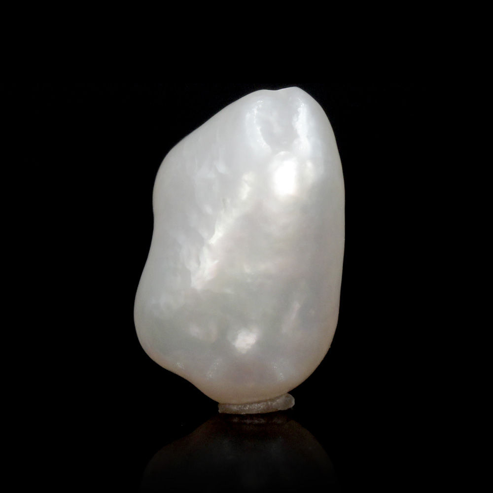 PRL255 (1) Natural Keshi Pearl (Moti) 8.04 Carat (8.84 Ratti) - Image 1