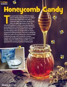 Honey Comb Candy