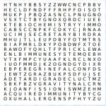 Wordsearch
