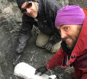 Dinosaur Fossils