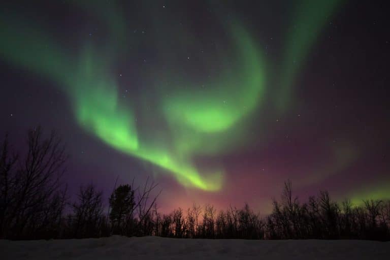 Aurora