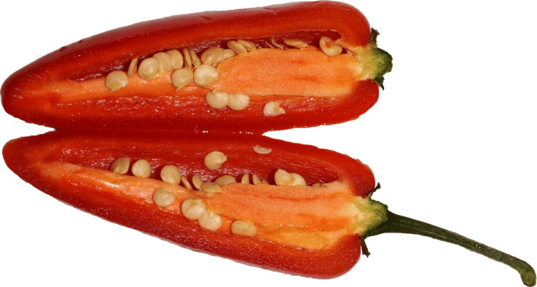 Chilli