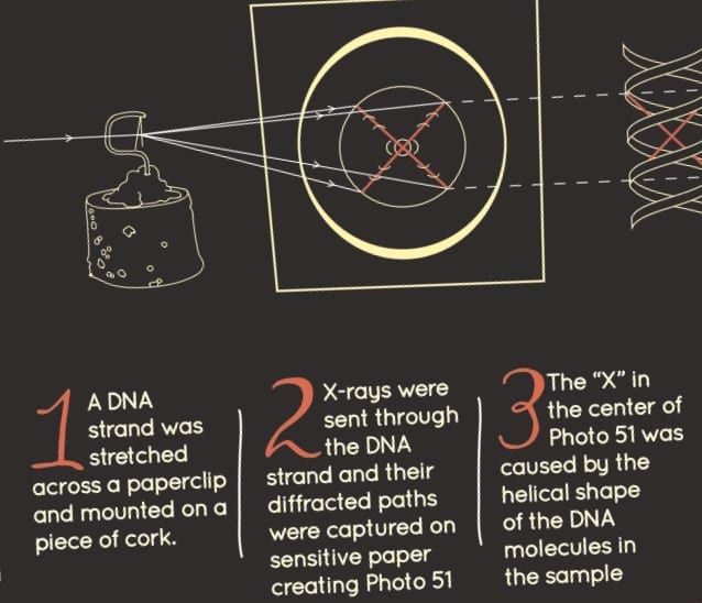 DNA