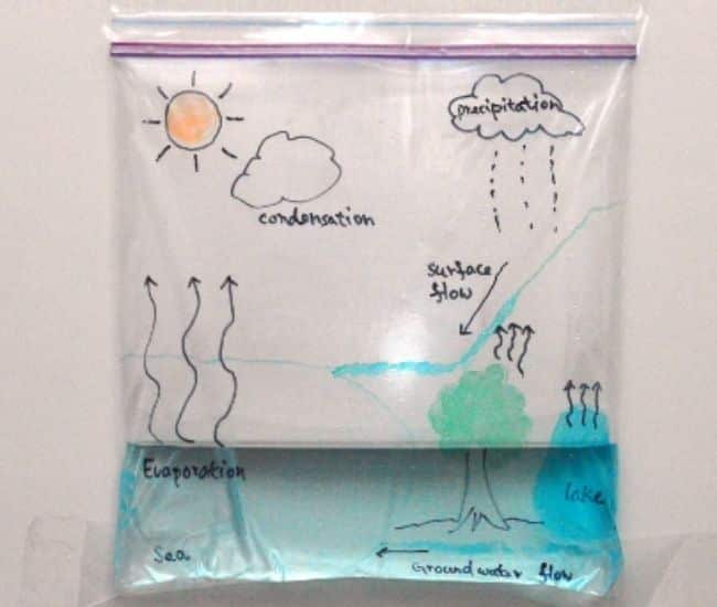 Water Cycle in a bag