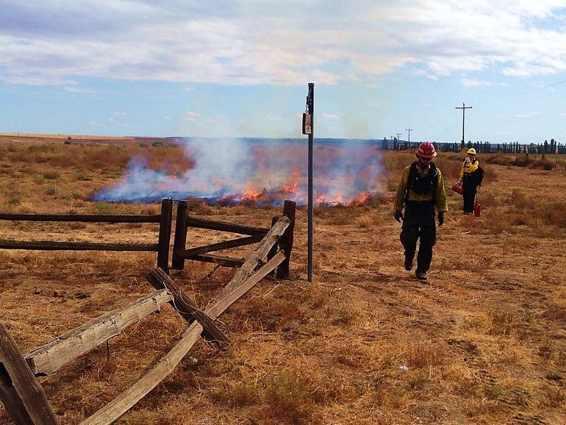 Prescribed Fire for Improved Habitat