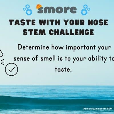 STEM challenge- slide-Julie (1100 × 850 px) (3) Taste with your nose stem challenge
