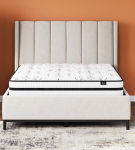 Sierra Sleep by Ashley Chime 10 Inch Hybrid California King Mattress in a Box-