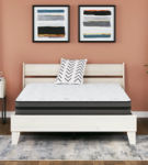 Sierra Sleep by Ashley 10 Inch Pocketed Hybrid Queen Mattress-White