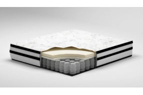 Sierra Sleep by Ashley Chime 10 Inch Hybrid California King Mattress in a Box-