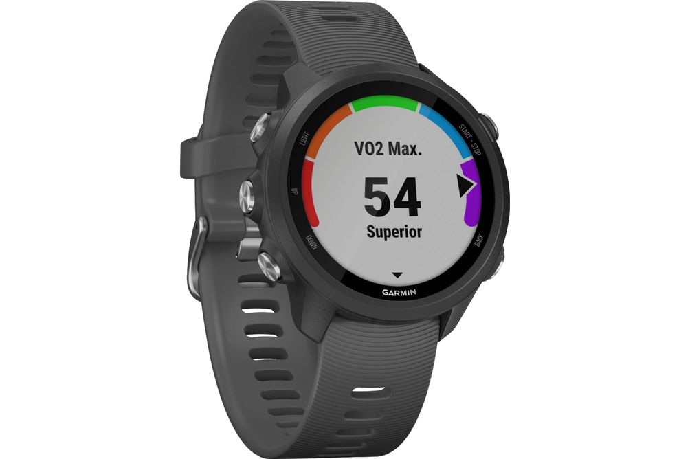 Garmin - Forerunner 245 GPS Smartwatch 42mm Fiber-Reinforced Polymer - Slate