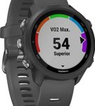 Garmin - Forerunner 245 GPS Smartwatch 42mm Fiber-Reinforced Polymer - Slate