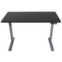 Victor - Electric Full Standing Desk - Black