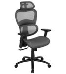 Flash Furniture - Lo Contemporary Mesh Executive Swivel Office Chair - Gray