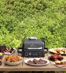 Ninja - Woodfire Outdoor Grill & Smoker, 7-in-1 Master Grill, BBQ Smoker, & Outdoor Air Fryer with