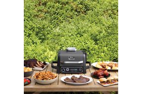 Ninja - Woodfire Outdoor Grill & Smoker, 7-in-1 Master Grill, BBQ Smoker, & Outdoor Air Fryer with