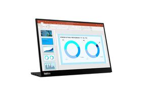 Lenovo - ThinkVision M14d 14