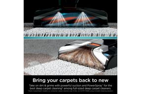 Shark - CarpetXpert with Stainstriker Technology Corded Upright Deep Carpet and Upholstery Cleaner