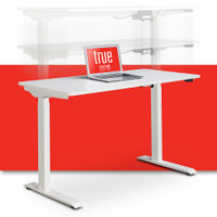 True Seating - Ergo Electric Height Adjustable Standing Desk - White