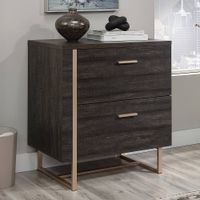 Sauder - Walter Heights 2-Drawer Lateral File Cabinet - Blade Walnut